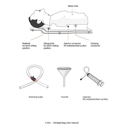 Manikin, Tube Feeding & Tracheostomy Care & Suction Training